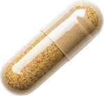 Kapsle