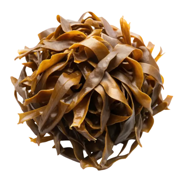 Sušené hnědé řasy