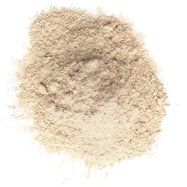 Lactobacillus Acidophilus