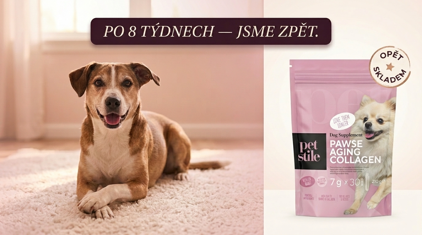 Pawse Aging Collagen — back in stock